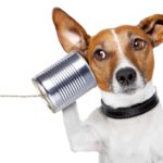 dog listening through tin can with string attached signifying listening regarding asx share demerger announcements