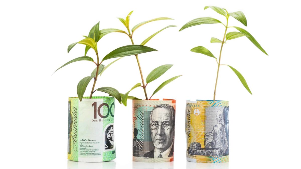 seedling plants growing out of rolls of money representing growth shares