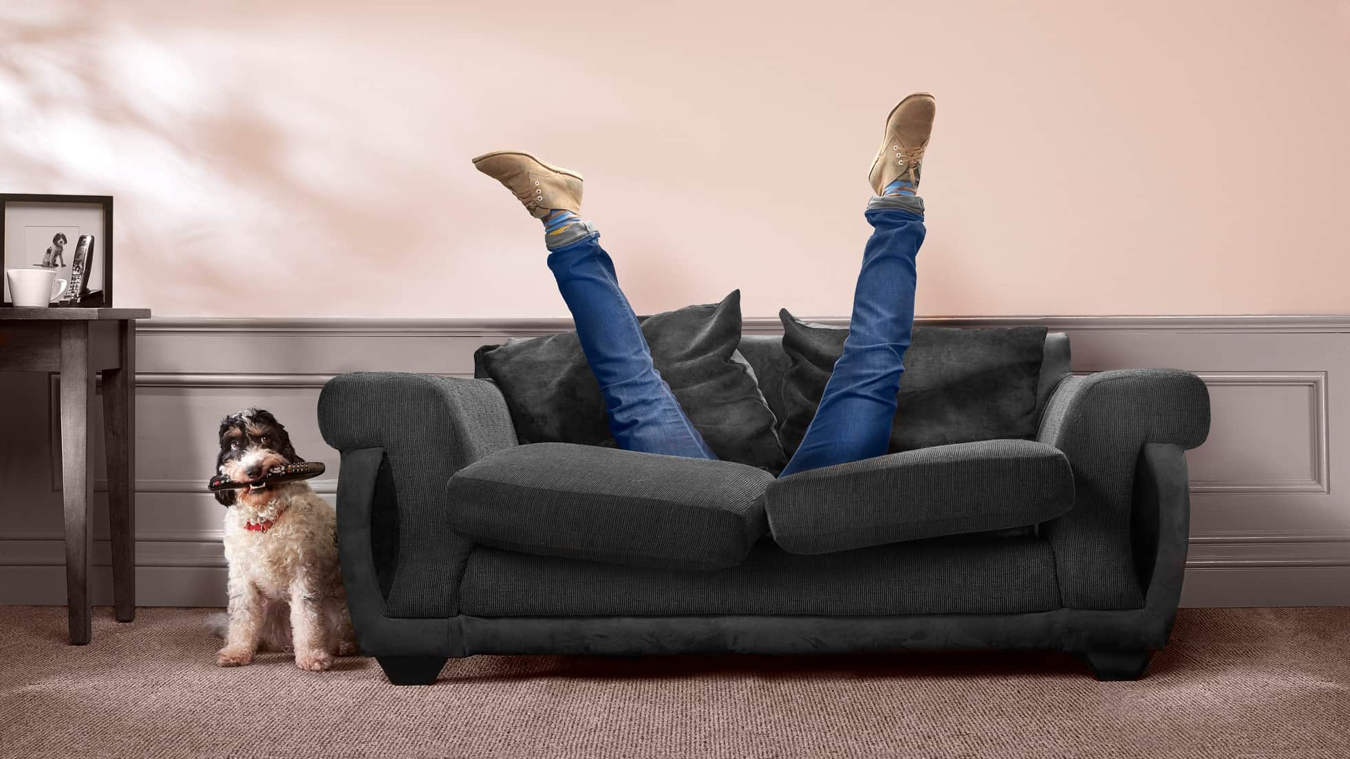 Explore 91+ Breathtaking Picture Sinking Into A Living Room Couch You Won't Be Disappointed