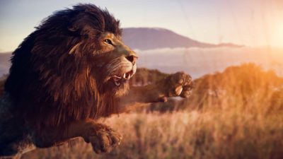 A lion leaps in front of a scenic backdrop.