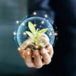 Businessman hand with coins and sprout in network connection. Plant growing on pile of coins money. Money growth concept.