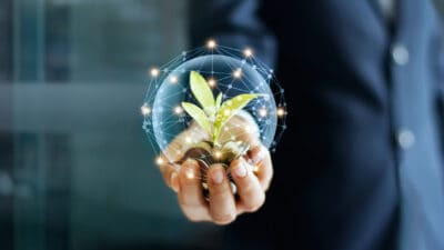 Businessman hand with coins and sprout in network connection. Plant growing on pile of coins money. Money growth concept.